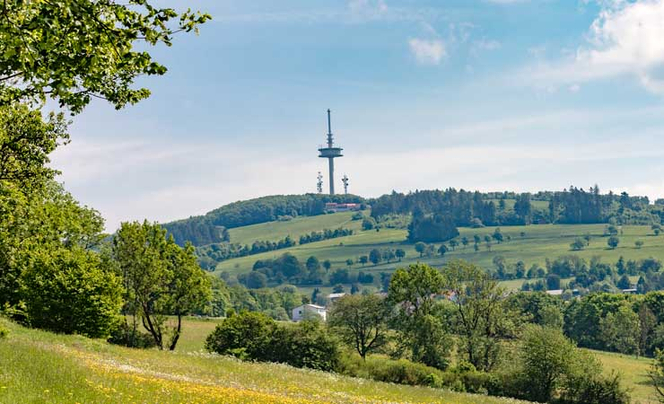 Sommerlandschaft mit Bäumen, grünen Wiesen und Hecken, im Hintergrund der Hoherodskopf