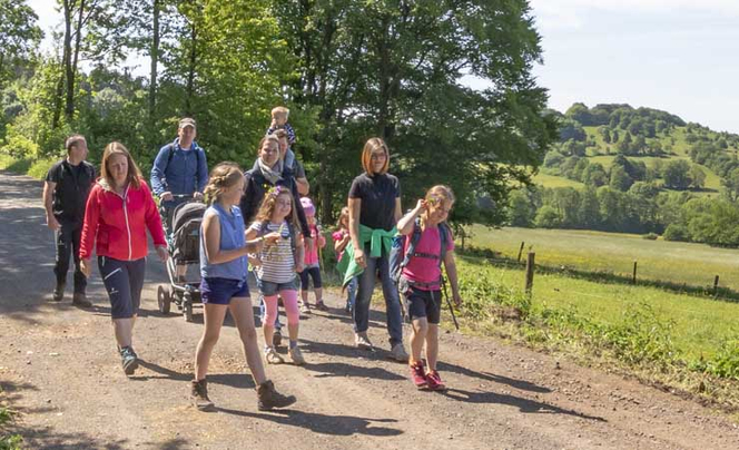 Eine Gruppe Wanderer, Erwachsene und Kinder, auf einem Feldweg im Grünen