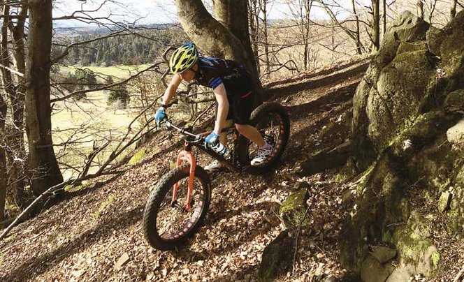 Ein Mountainbiker fährt downhill im Wald