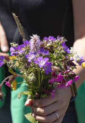 Frauenhand mit einem lilafarbenen Blumenstrauß