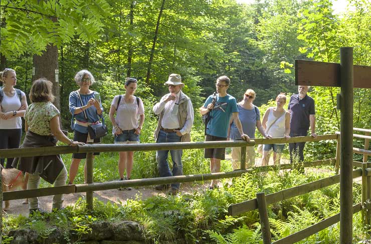 Symbolbild Tourismus: Eine zehnköpfige Gruppe auf Naturparkführung an einem Holzgeländer